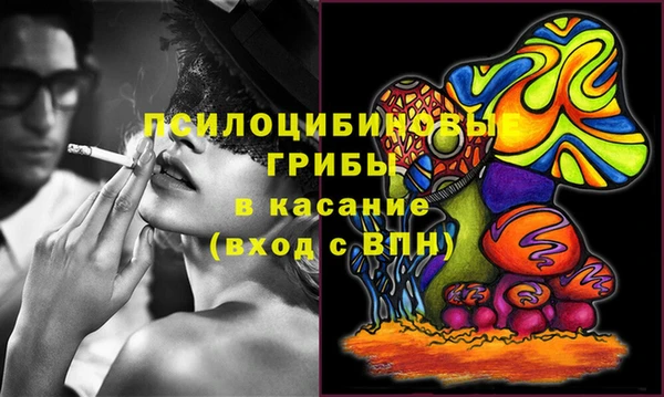 мдпв Пересвет