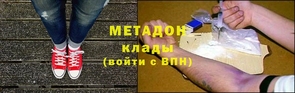 индика Осинники