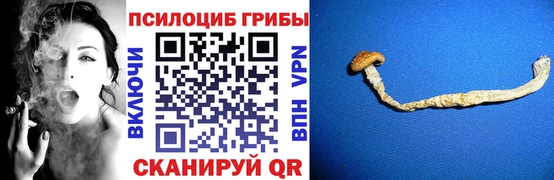 Псилоцибиновые грибы Psilocybe  кракен зеркало  Покачи 